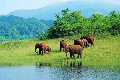 4 Days - Kerala Tour Package