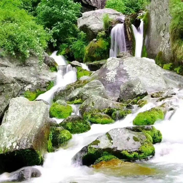 Manali - Dharamshala Tour By Car