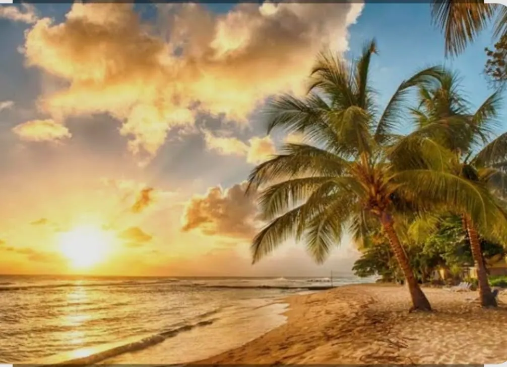 Varkala Cliff & Beach tour Package